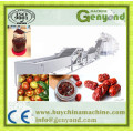 Professional Automatic Mango Jam Production Line